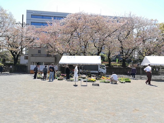 無料、動物ふれあい体験、西大井公園広場、みどりと花のフェスティバル