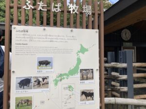 珍しい動物、会える、上野動物園